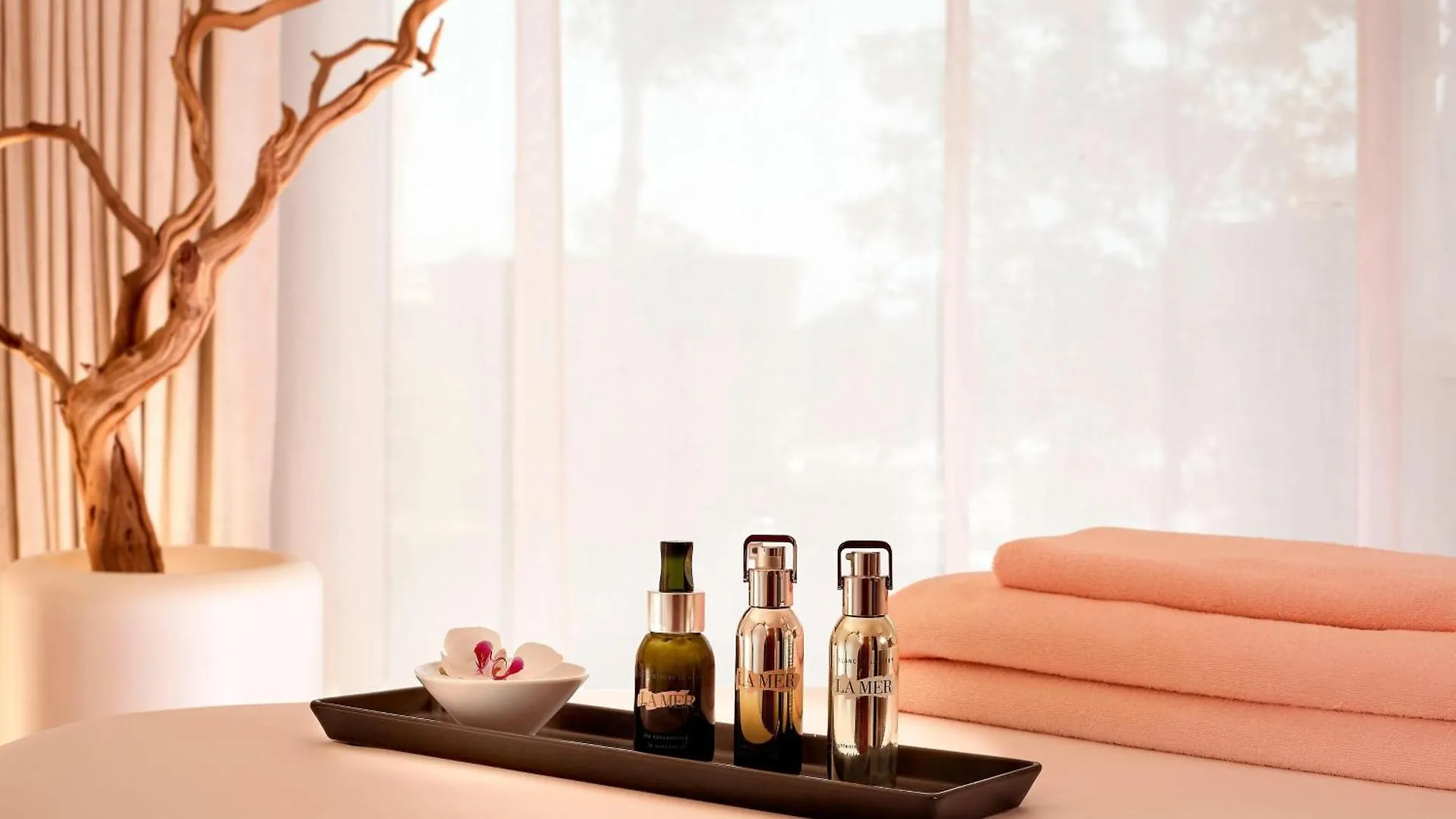 Hotel President Wilson, A Luxury Collection Hotel, Geneva 5*,  Switzerland