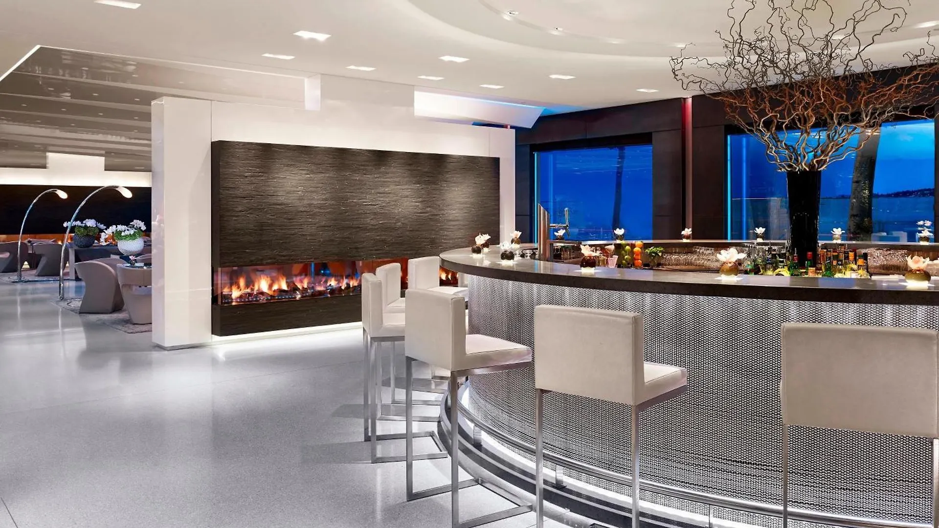 Hotel President Wilson, A Luxury Collection Hotel, Γενεύη